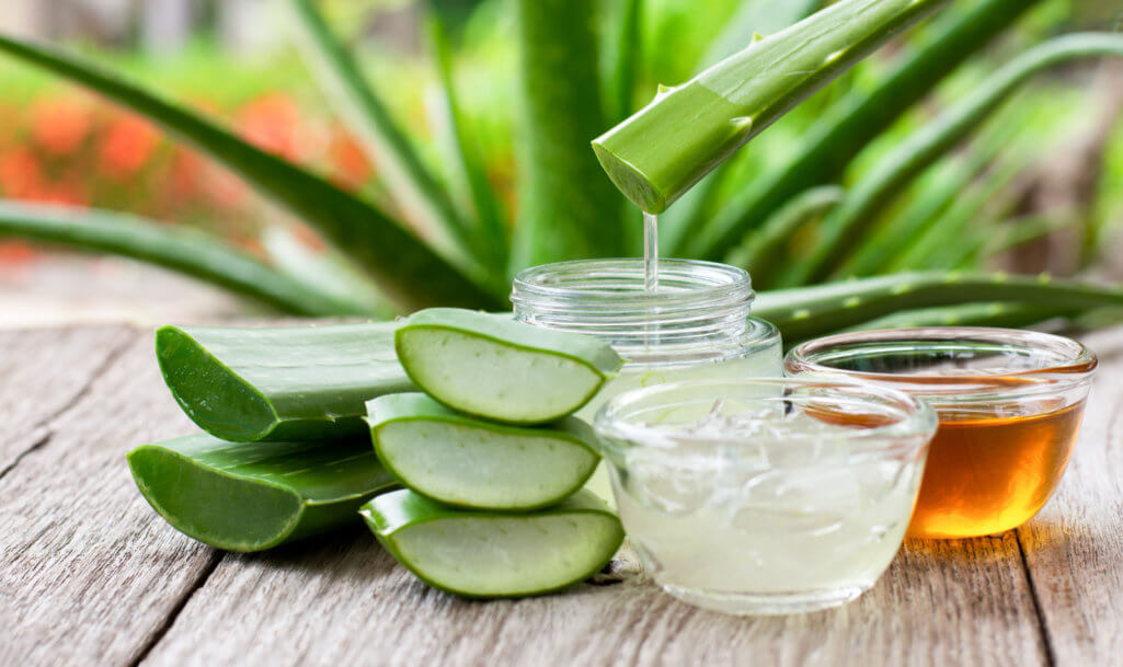 Aloe vera leaf with aloevera gel and honey on wooden table with green nature background